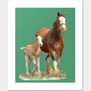 Clydesdale Mare and Foal Posters and Art